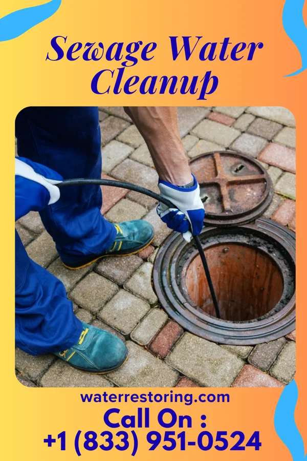 Sewage Water Cleanup in Bement, IL